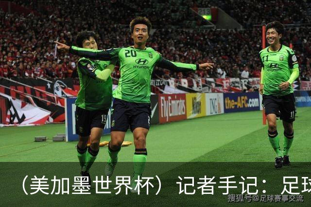 （美加墨世界杯）记者手记：足球世界，规则谁定？